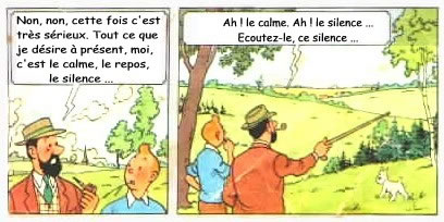 Tintin et le capitaine Haddock de Herge dans L Affaire Tournesol - philosophie, ecoutez-le ce silence