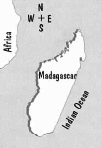 Voyage a Madagascar pour voir les lemuriens